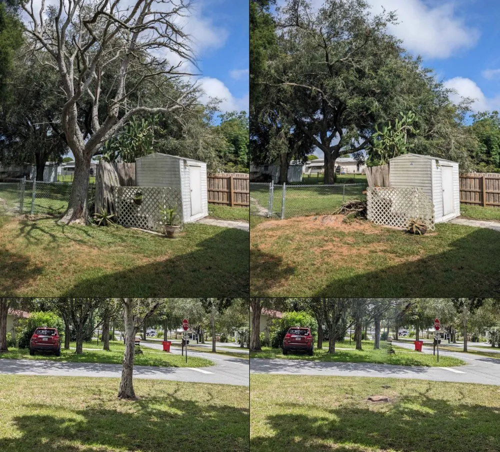 Expert lawn mowing service experts serving Lecanto, FL - Brandon's Lawn Care and Maintenance