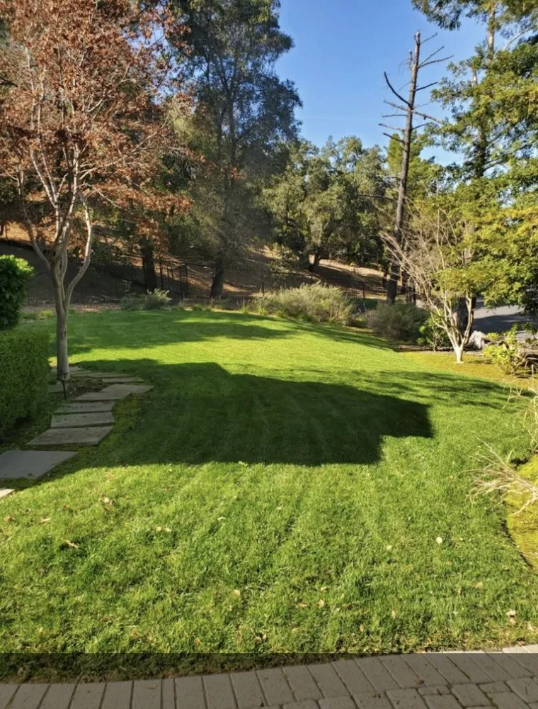 Professional yard maintenance in Lecanto, FL by Brandon's Lawn Care and Maintenance