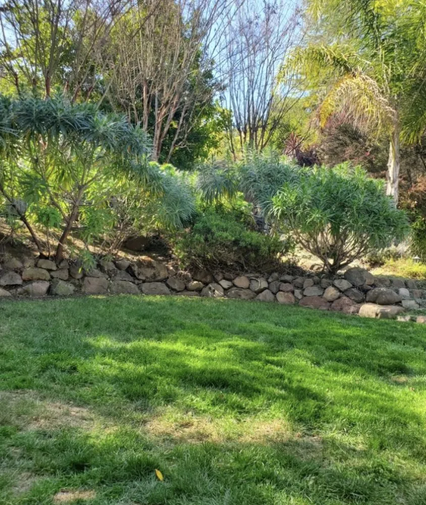 Custom landscaping services in Lecanto, FL by Brandon's Lawn Care and Maintenance