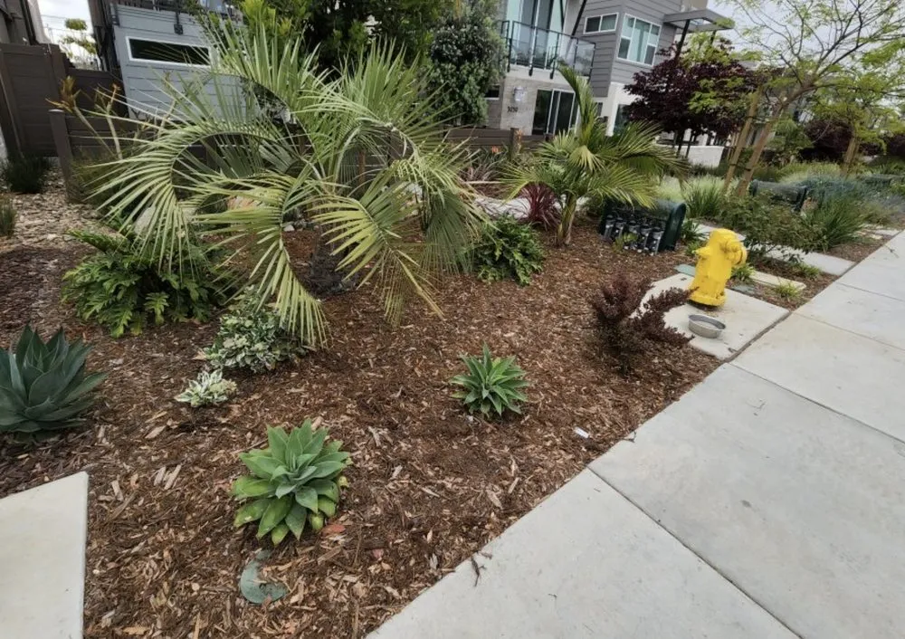 Trusted lawn mowing service with custom design in Lecanto, FL by Brandon's Lawn Care and Maintenance