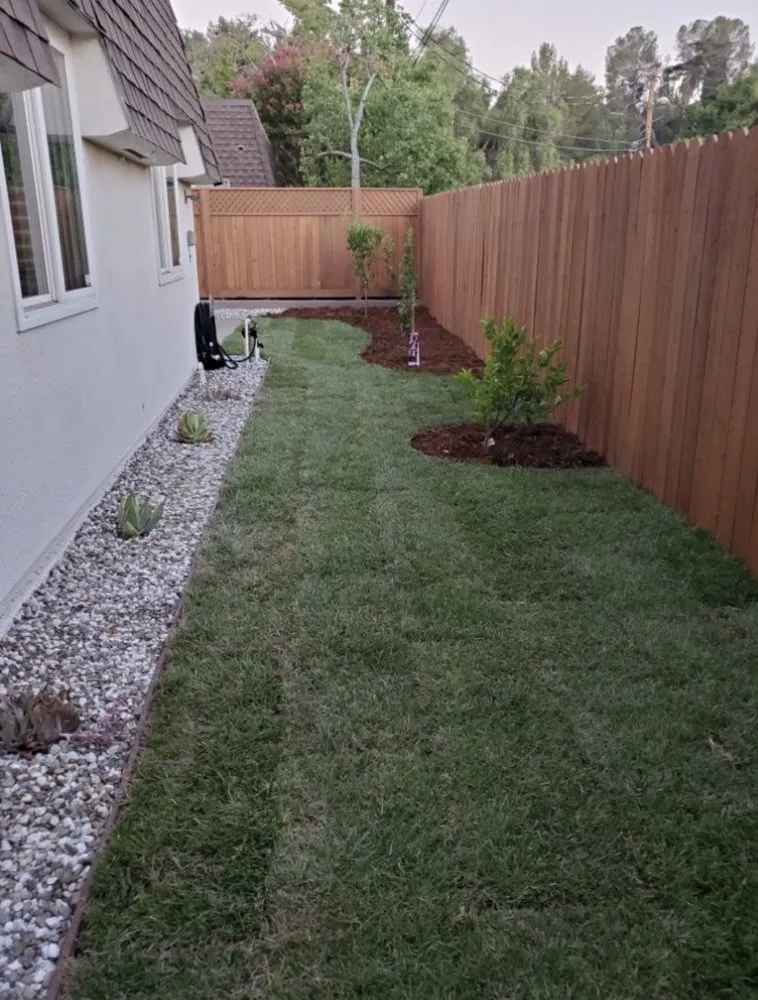 Affordable yard cleanup service in Lecanto, FL - Brandon's Lawn Care and Maintenance