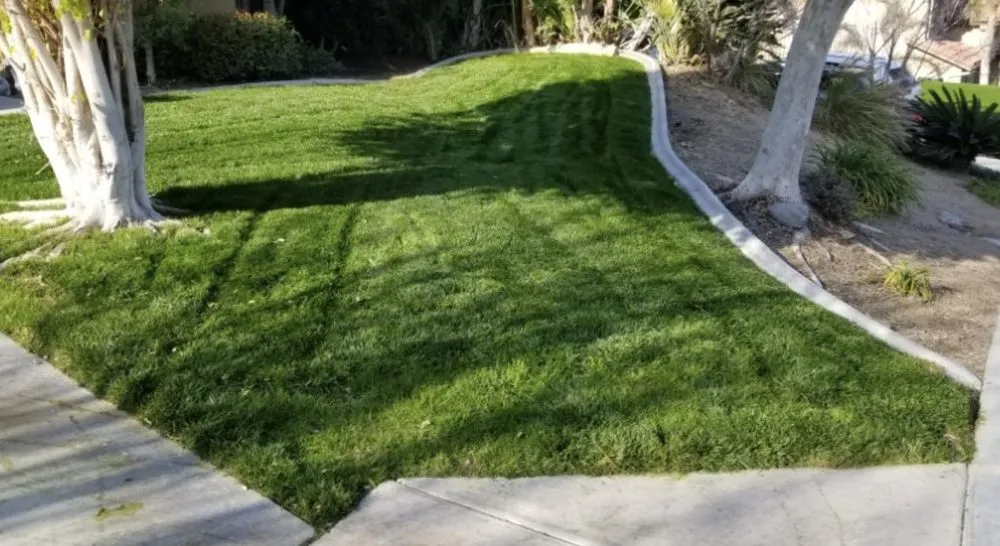 Reliable lawn mowing service in Lecanto, FL - Brandon's Lawn Care and Maintenance