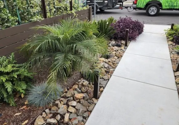 Brandon's Lawn Care and Maintenance