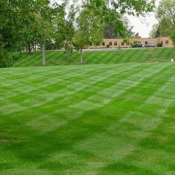 Expert landscape installation in Cleveland, OH - Brandons Lawn Care