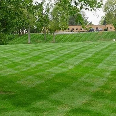 Brandons Lawn Care Logo