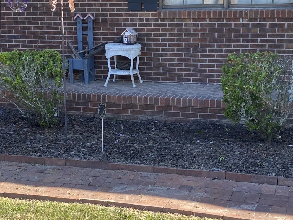 Affordable yard maintenance in Pooler, GA by Brandon’s Lawn Care