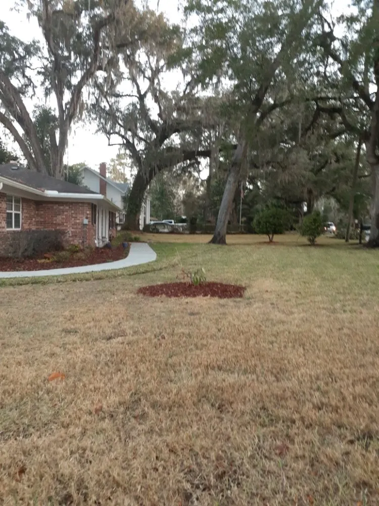 Custom landscape installation for homes in Orange Park, FL by Brandon's Lawn Service