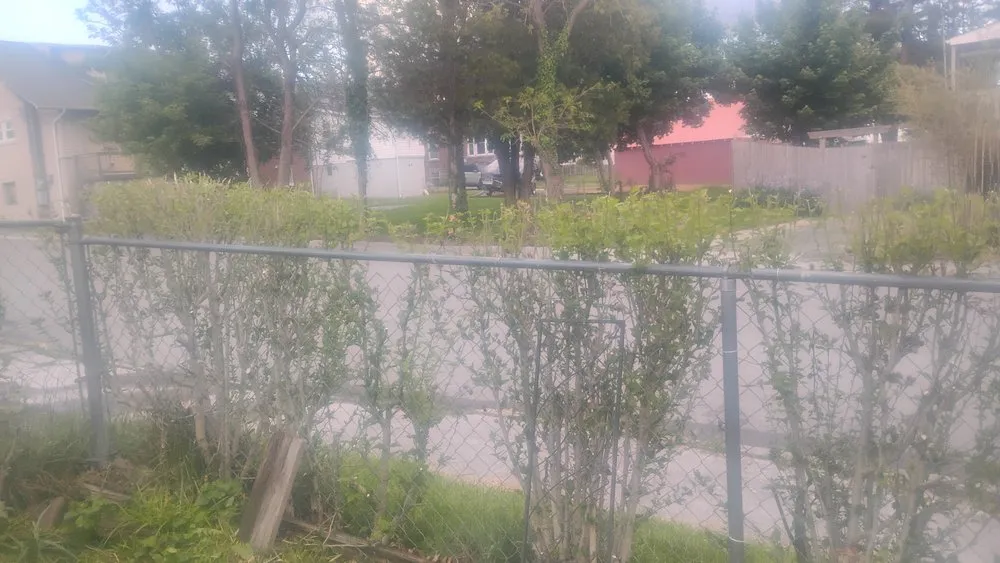 Affordable yard maintenance in Bluefield, VA - Brandons Lawncare & Landscaping