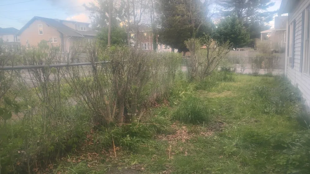 Professional lawn care service experts serving Bluefield, VA - Brandons Lawncare & Landscaping