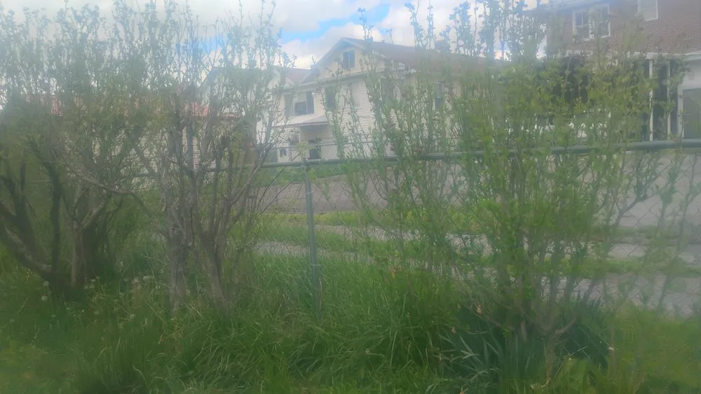 Custom residential landscaping near you across Bluefield, VA - Brandons Lawncare & Landscaping