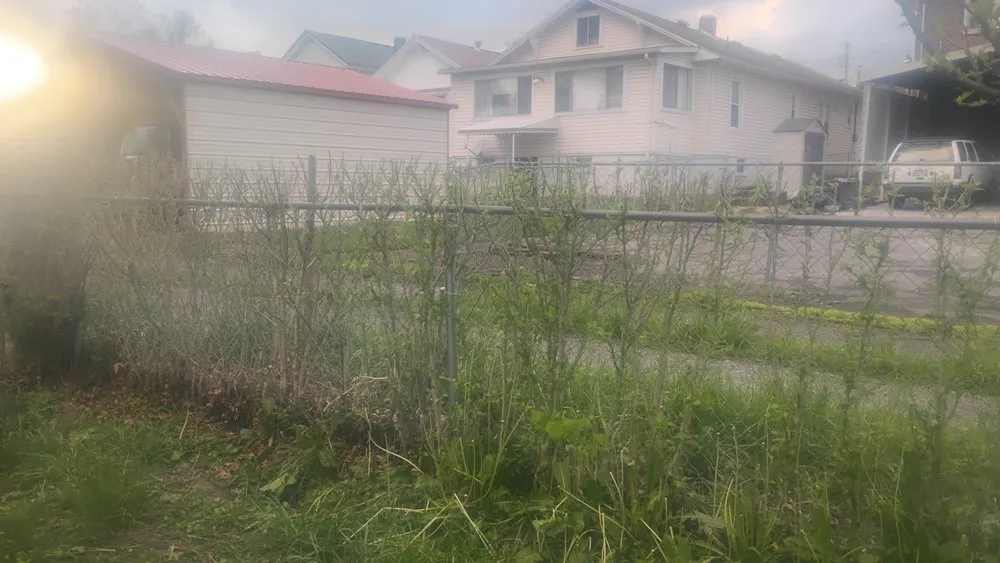 Trusted yard cleanup service in Bluefield, VA - Brandons Lawncare & Landscaping