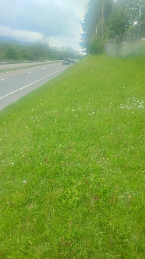 Local lawn care service with custom design in Bluefield, VA by Brandons Lawncare & Landscaping