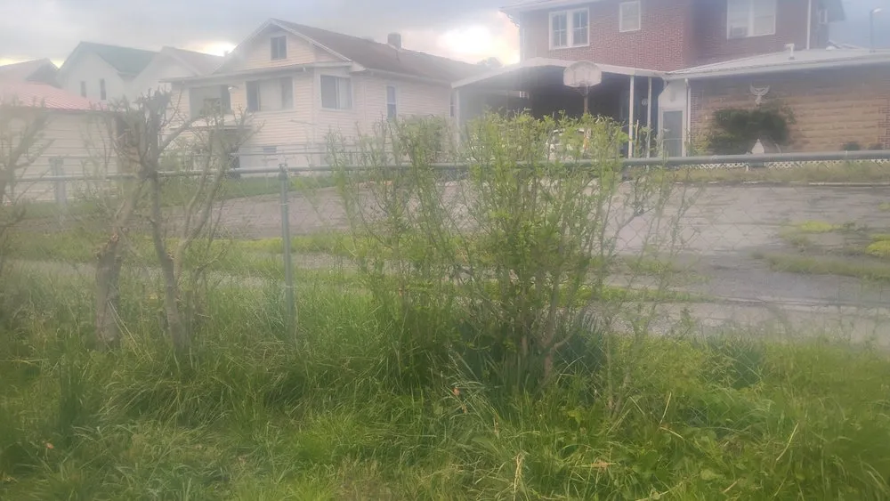 Professional lawn care service experts serving Bluefield, VA - Brandons Lawncare & Landscaping