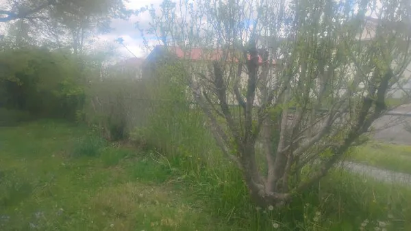 Brandons Lawncare & Landscaping