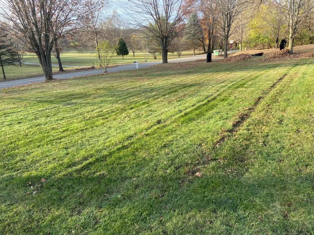 Expert yard maintenance with custom design across Addison, MI - Brandon’s Lawncare And Landscape