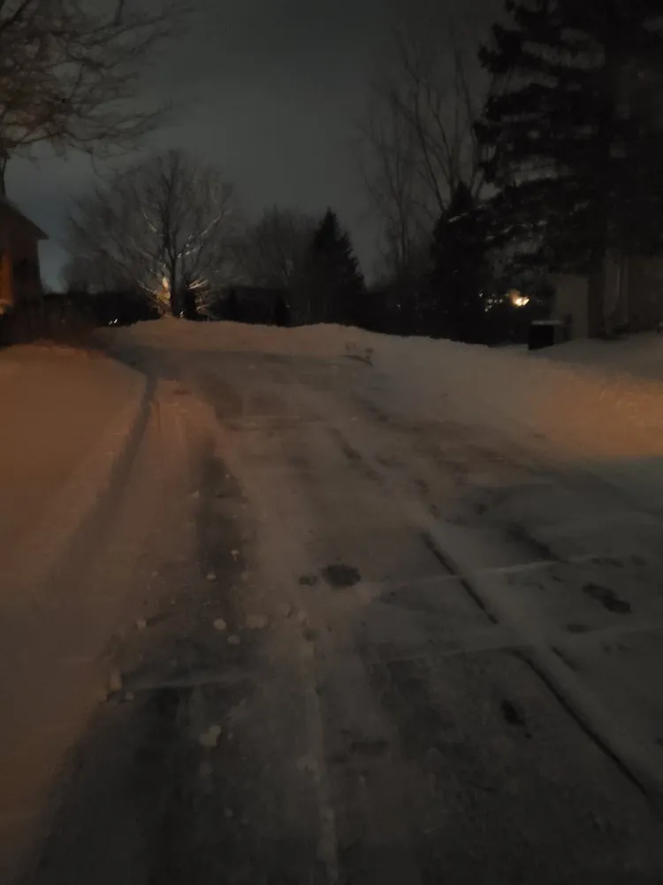 Professional yard cleanup service for outdoor upgrades across Waterford Township, MI - Brandon's Outdoor Services