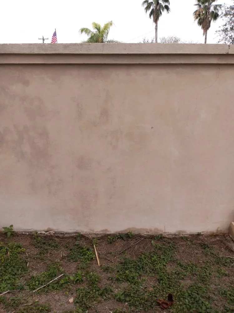 Top-rated yard cleanup service for year-round maintenance in Edinburg, TX by Brandon's Pressure Washing And Lawn Care Services