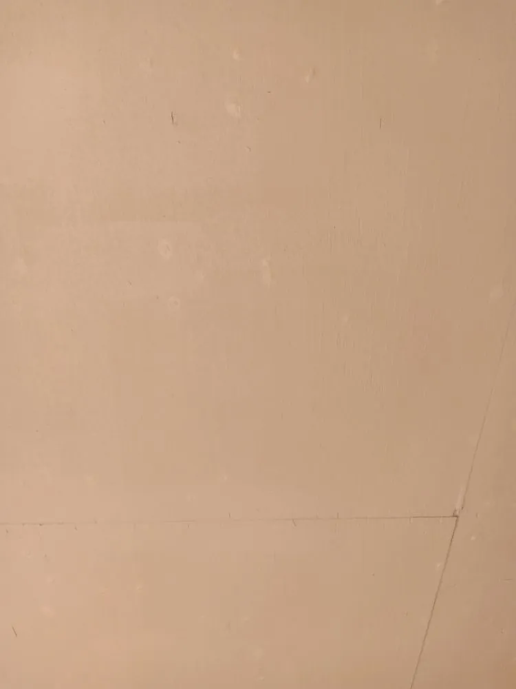 Custom yard maintenance in Edinburg, TX by Brandon's Pressure Washing And Lawn Care Services