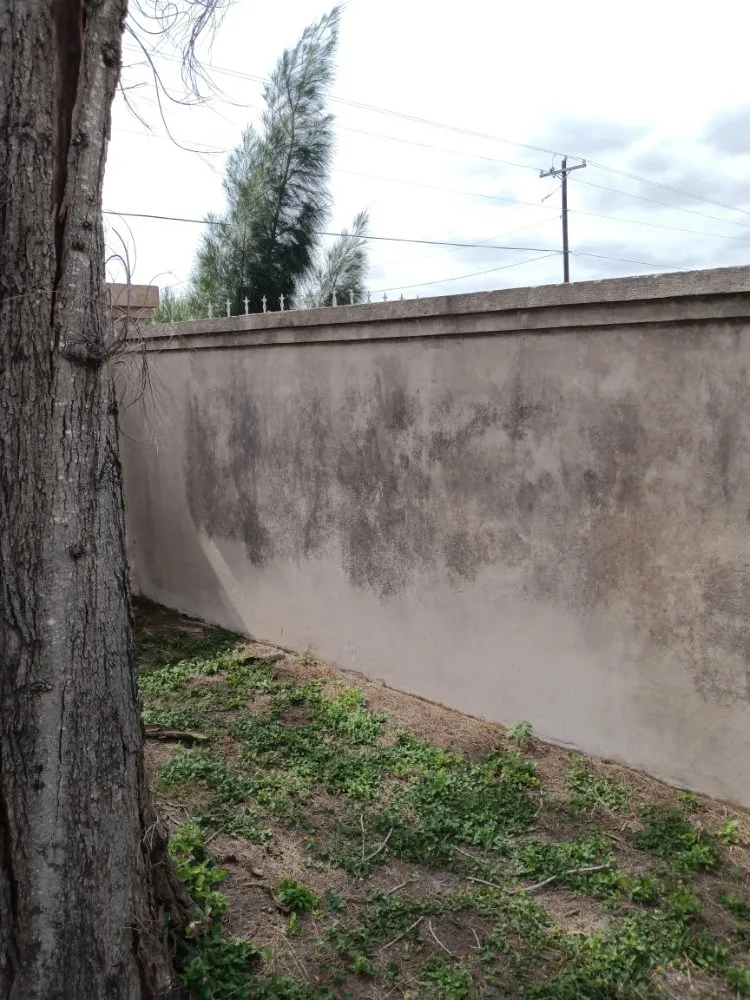 Top-rated landscape installation for outdoor upgrades across Edinburg, TX - Brandon's Pressure Washing And Lawn Care Services