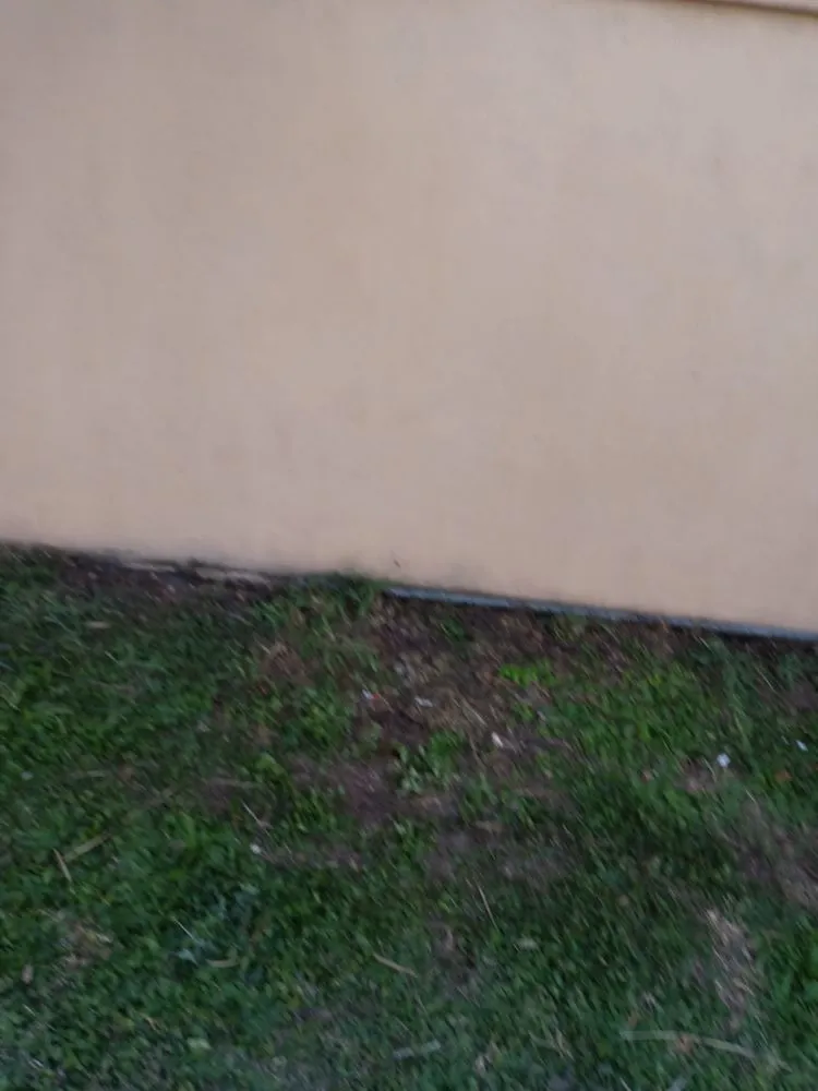 Local outdoor landscaping in Edinburg, TX by Brandon's Pressure Washing And Lawn Care Services