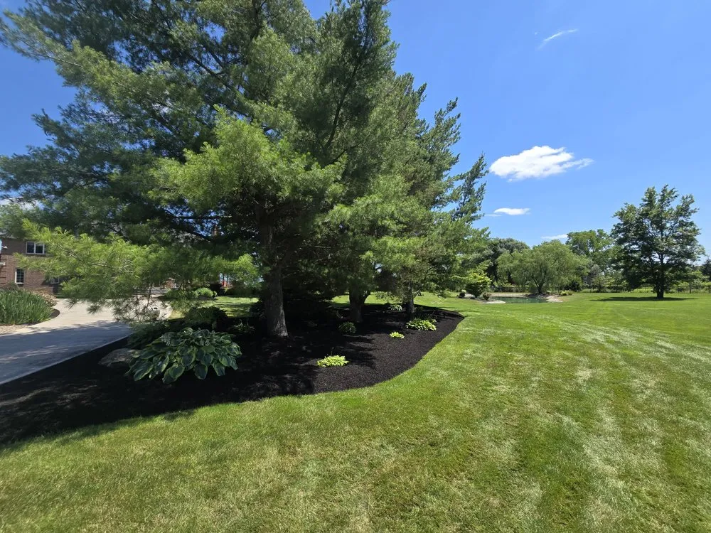 Professional yard maintenance in Rochester, NY by Brandon's Services