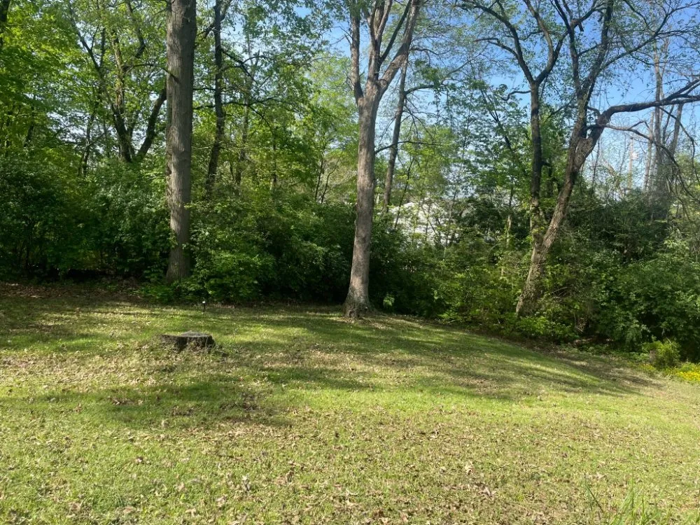 Expert lawn mowing service with custom design across Chillicothe, OH - Brandon's Tree Service and Landscape Management