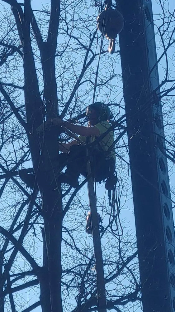 Local landscape installation in Chillicothe, OH - Brandon's Tree Service and Landscape Management