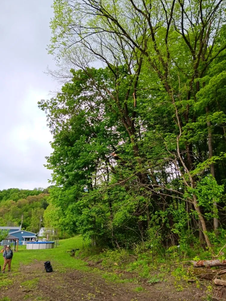 Expert lawn mowing service in Chillicothe, OH - Brandon's Tree Service and Landscape Management