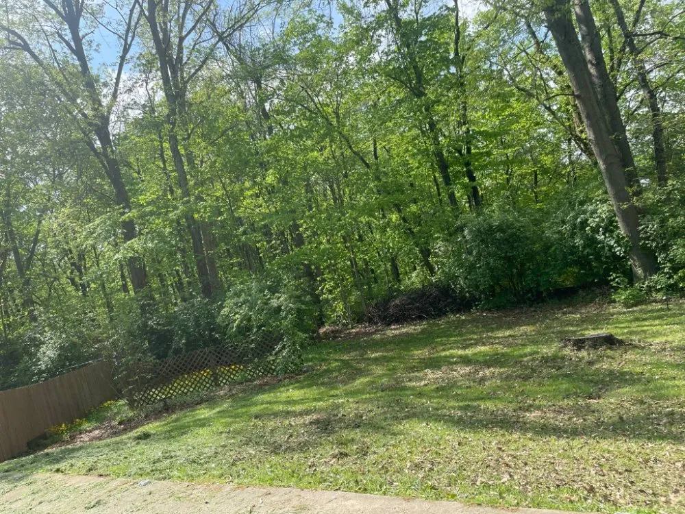 Custom residential landscaping experts serving Chillicothe, OH - Brandon's Tree Service and Landscape Management