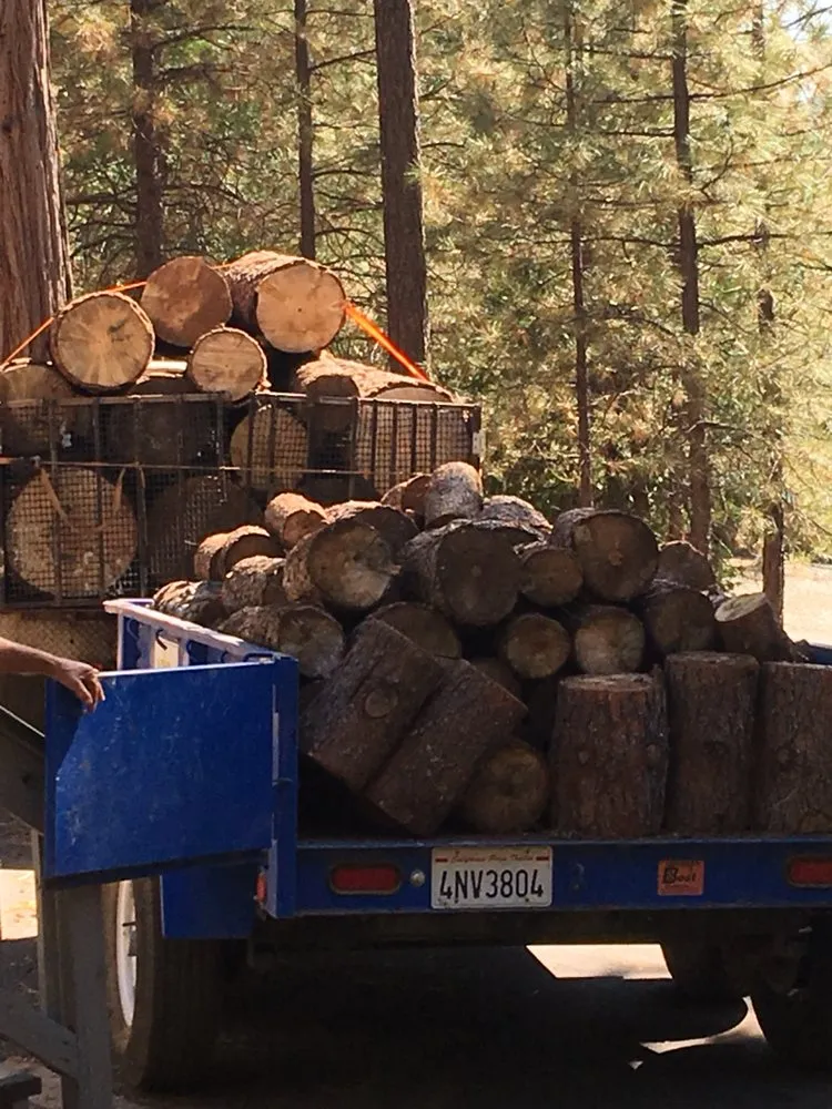 Top-rated yard maintenance in Clements, CA by Brandon's Tree Service