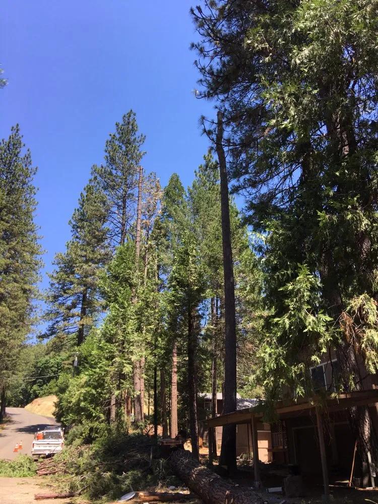 Professional residential landscaping for year-round maintenance in Clements, CA by Brandon's Tree Service