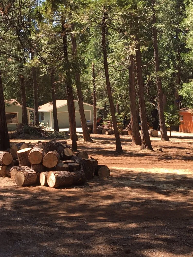 Affordable outdoor landscaping in Clements, CA by Brandon's Tree Service