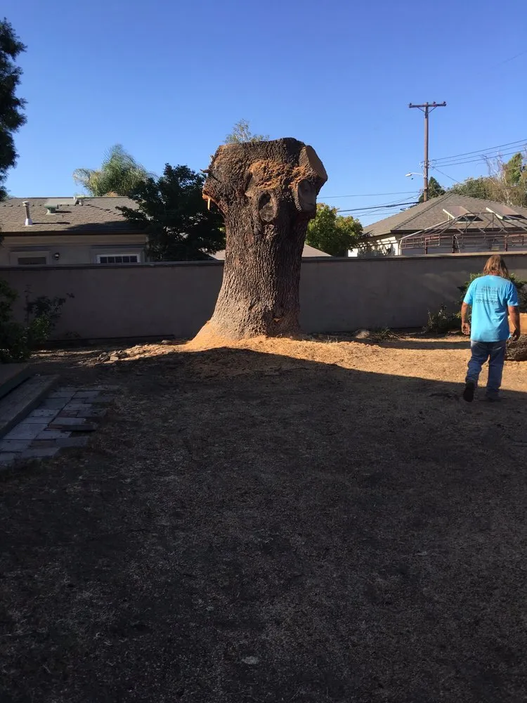 Reliable landscaping services experts serving Clements, CA - Brandon's Tree Service