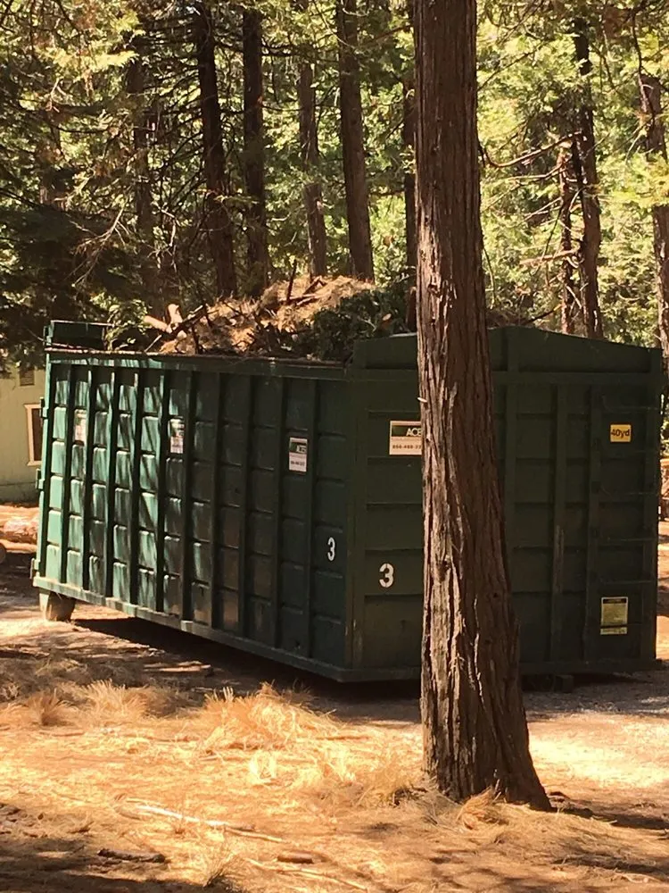 Trusted outdoor landscaping for beautiful yards across Clements, CA - Brandon's Tree Service