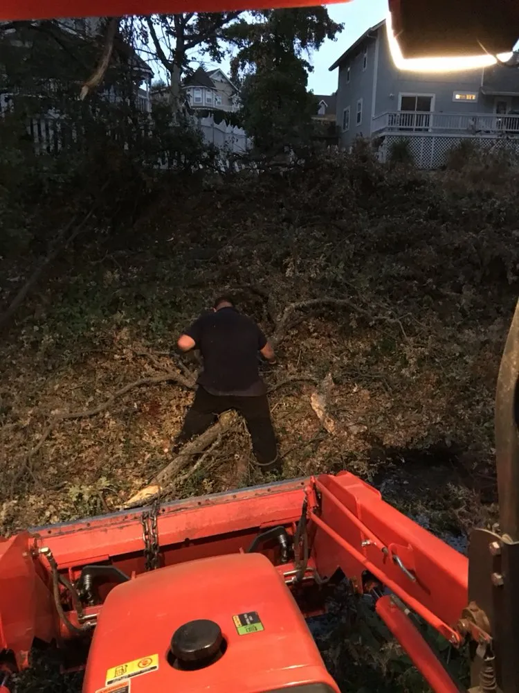 Trusted yard cleanup service for beautiful yards in Clements, CA by Brandon's Tree Service