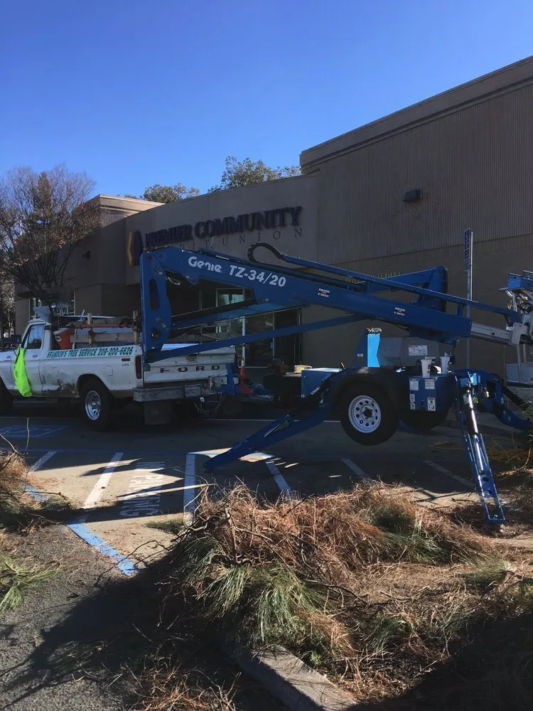 Local yard maintenance in Clements, CA - Brandon's Tree Service