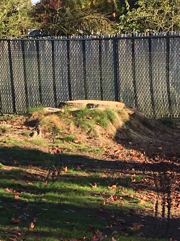 Expert residential landscaping for outdoor upgrades in Clements, CA by Brandon's Tree Service