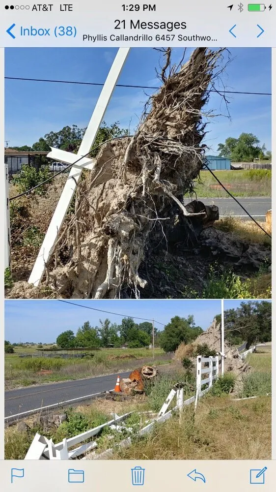 Expert yard maintenance experts serving Clements, CA - Brandon's Tree Service