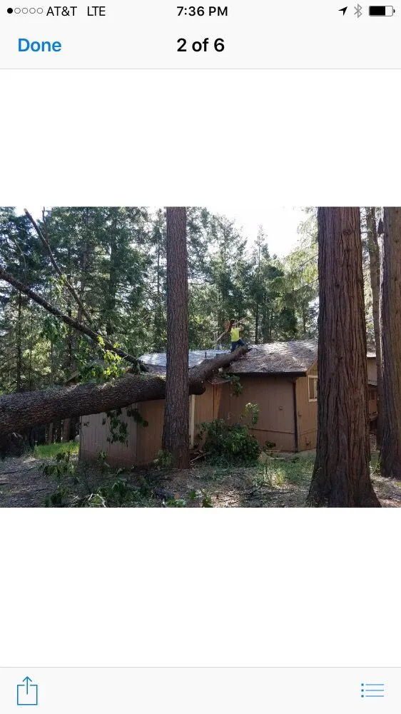 Custom yard cleanup service in Clements, CA - Brandon's Tree Service