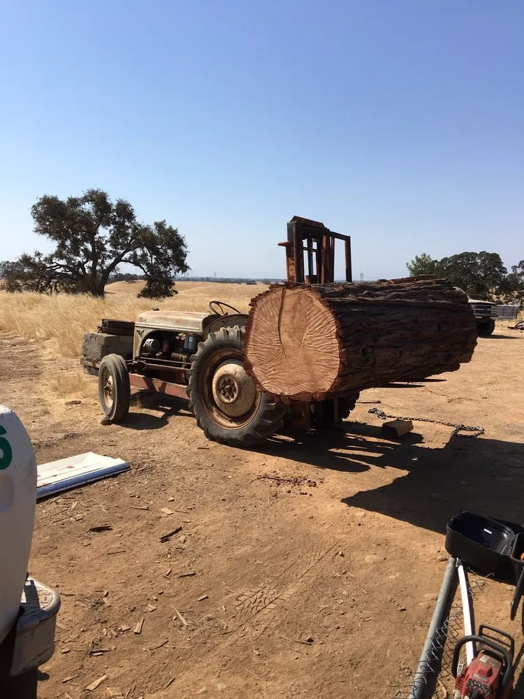 Affordable yard maintenance for beautiful yards across Clements, CA - Brandon's Tree Service