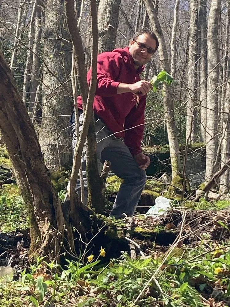 Top-rated lawn care service experts serving Hillsborough, NC - Brandon's Wood Chipping