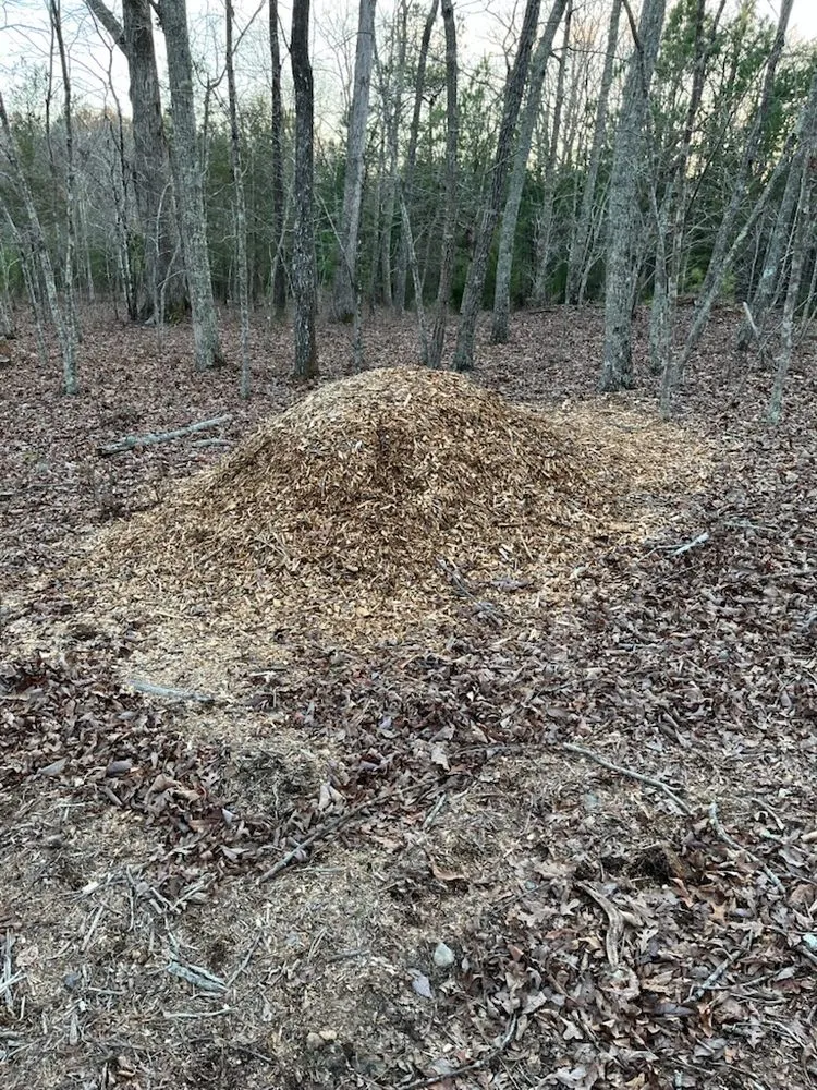 Expert yard cleanup service experts serving Hillsborough, NC - Brandon's Wood Chipping