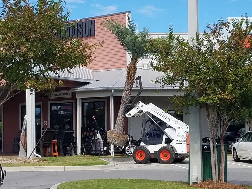 Trusted yard maintenance in Panama City, FL - Brandows Lawn & Landscape