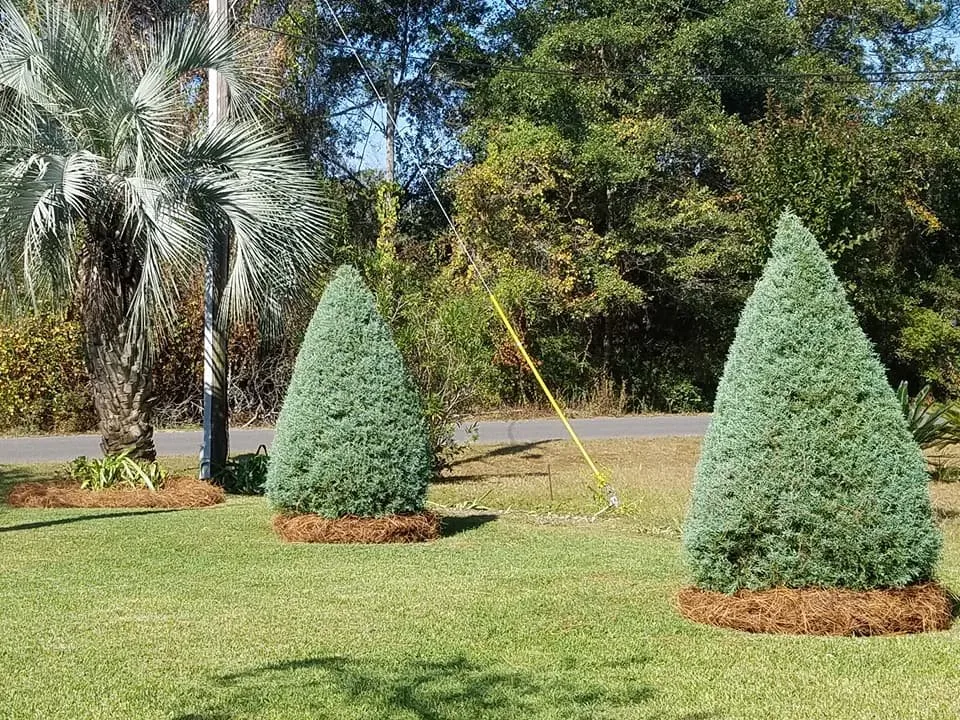 Professional landscape installation in Panama City, FL by Brandows Lawn & Landscape