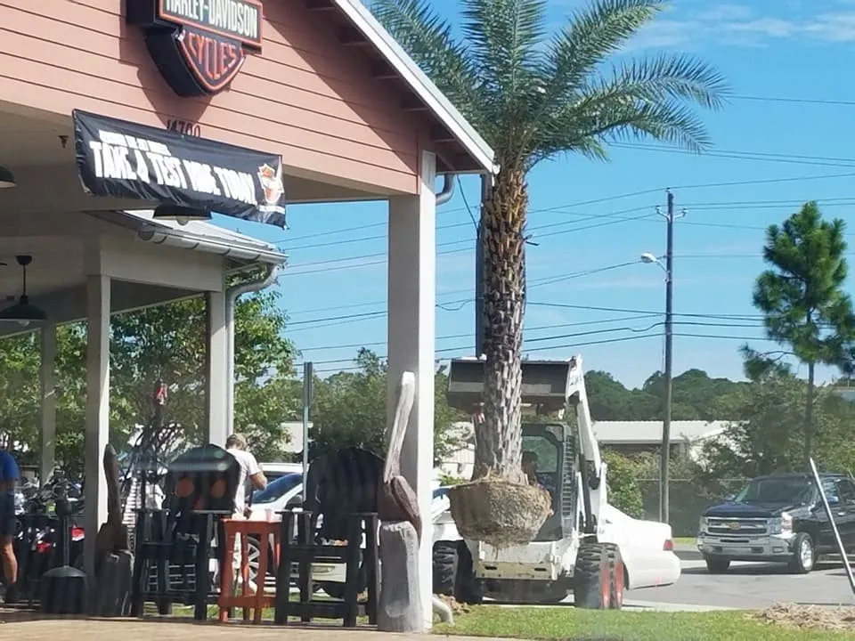 Expert outdoor landscaping in Panama City, FL - Brandows Lawn & Landscape