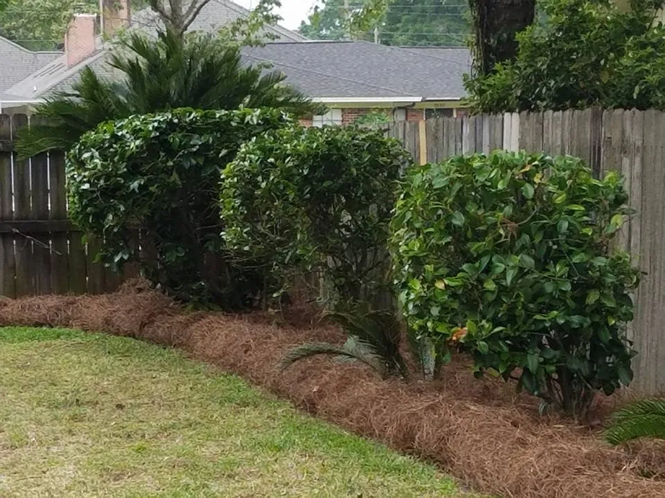 Custom yard cleanup service for outdoor upgrades across Panama City, FL - Brandows Lawn & Landscape