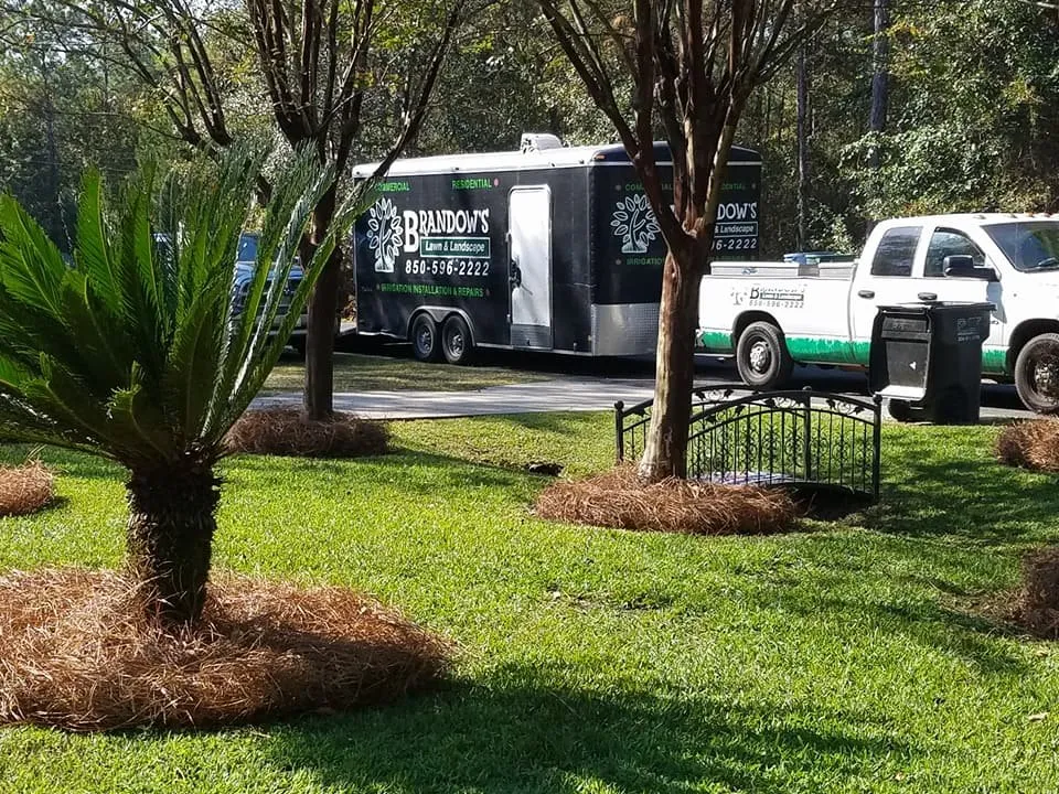 Trusted yard maintenance experts serving Panama City, FL - Brandows Lawn & Landscape