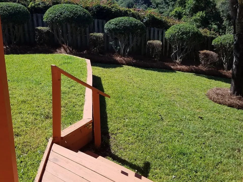 Expert landscape design for beautiful yards across Panama City, FL - Brandows Lawn & Landscape