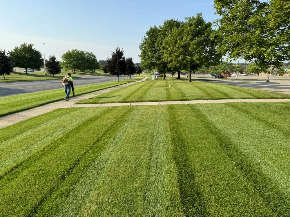 Reliable lawn care service for beautiful yards in Greenville, MI by Brands Seasonal Solutions