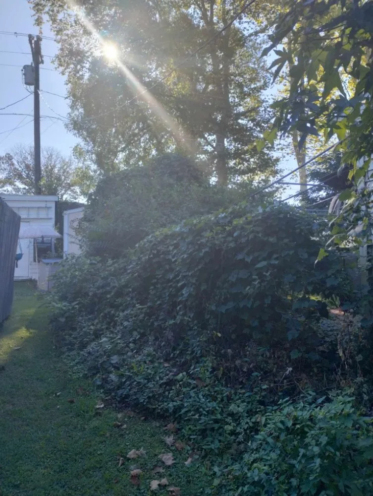 Expert lawn care service for homes across Earleville, MD - Brandscaping Creations